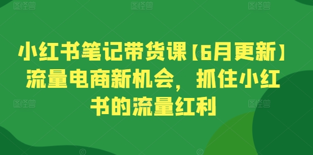 小红书笔记带货课【6月更新】流量电商新机会，抓住小红书的流量红利-成长印记