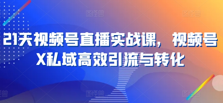 21天视频号直播实战课，视频号X私域高效引流与转化-成长印记