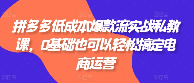 拼多多低成本爆款流实战私教课，0基础也可以轻松搞定电商运营-成长印记