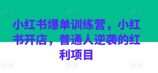 小红书爆单训练营，小红书开店，普通人逆袭的红利项目-成长印记