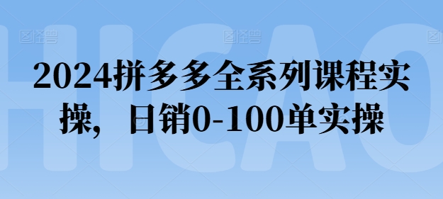 2024拼多多全系列课程实操，日销0-100单实操【必看】-成长印记