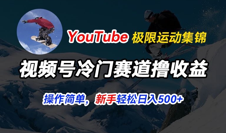 视频号冷门赛道撸收益，YouTube搬运极限运动集锦，暴力起号，操作简单流量高，轻松日入5张【揭秘】-成长印记