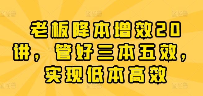 老板降本增效20讲，管好三本五效，实现低本高效-成长印记