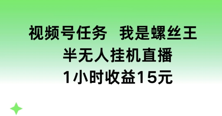 视频号任务，我是螺丝王， 半无人挂机1小时收益15元【揭秘】-成长印记