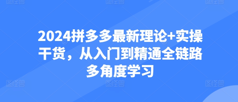 2024拼多多最新理论+实操干货，从入门到精通全链路多角度学习-成长印记