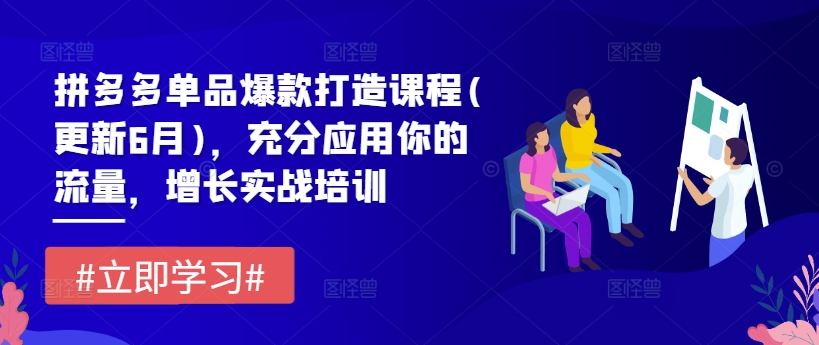 拼多多单品爆款打造课程(更新6月)，充分应用你的流量，增长实战培训-成长印记