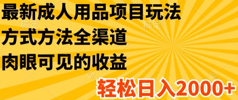 最新成人用品项目玩法，方式方法全渠道，轻松日入2K+【揭秘】-成长印记