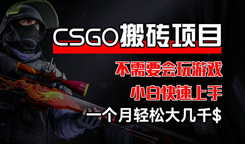 CSGO 装备搬砖项目，操作简单，不需要会玩游戏，小白也能快速上手，一个月轻松大几千【揭秘】-成长印记