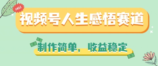 视频号人生感悟赛道，制作简单，收益稳定【揭秘】-成长印记