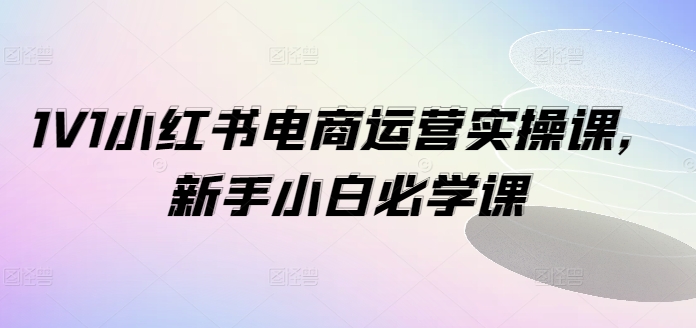 1V1小红书电商运营实操课，新手小白必学课-成长印记