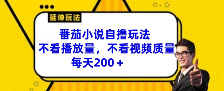 番茄小说自撸玩法，不看播放量，不看视频质量，每天200+【揭秘】-成长印记