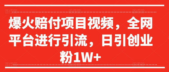 爆火赔付项目视频，全网平台进行引流，日引创业粉1W+【揭秘】-成长印记