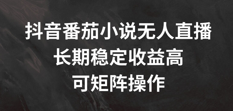 抖音番茄小说无人直播，长期稳定收益高，可矩阵操作【揭秘】-成长印记