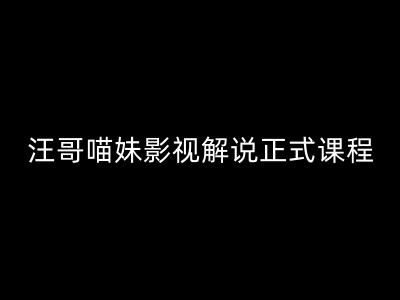 汪哥影视解说正式课程：剪映/PR教学/视解说剪辑5大黄金法则/全流程剪辑7把利器等等-成长印记