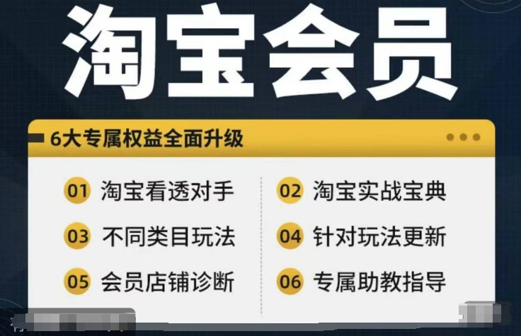 淘宝会员【淘宝所有课程，全面分析对手】，初级到高手全系实战宝典-成长印记