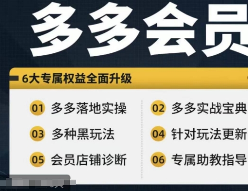 拼多多会员，拼多多实战宝典+实战落地实操，从新手到高阶内容全面覆盖-成长印记