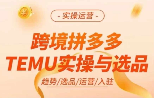 跨境拼多多TEMU实操与选品，多多temu跨境选品运营实操-成长印记