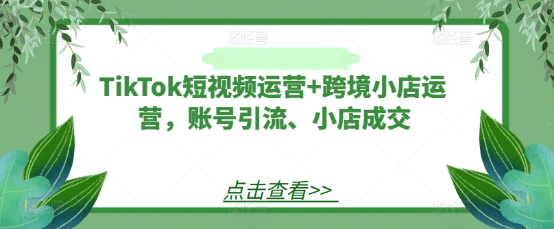 TikTok短视频运营+跨境小店运营，账号引流、小店成交-成长印记