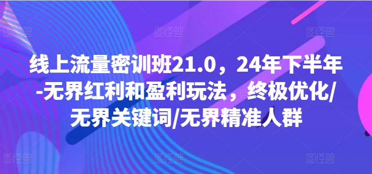 线上流量密训班21.0，24年下半年-无界红利和盈利玩法，终极优化/无界关键词/无界精准人群-成长印记