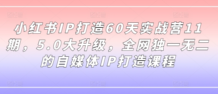 小红书IP打造60天实战营11期，5.0大升级，全网独一无二的自媒体IP打造课程-成长印记