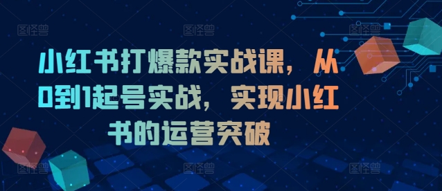 小红书打爆款实战课，从0到1起号实战，实现小红书的运营突破-成长印记