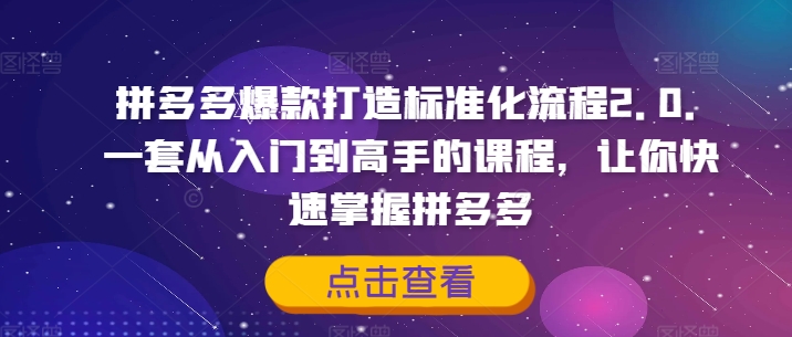 拼多多爆款打造标准化流程2.0，一套从入门到高手的课程，让你快速掌握拼多多-成长印记