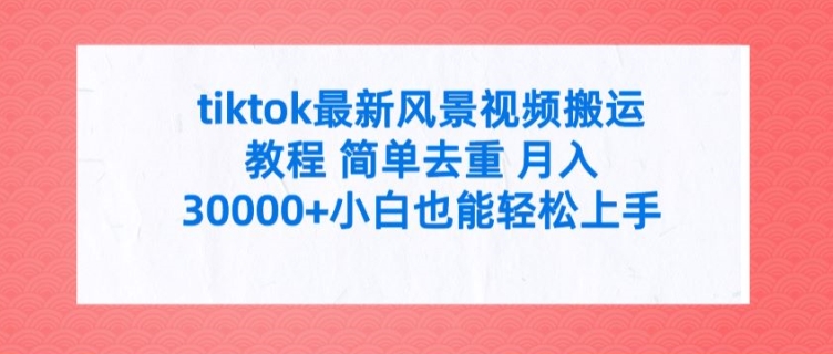 tiktok最新风景视频搬运教程 简单去重 月入3W+小白也能轻松上手【揭秘】-成长印记