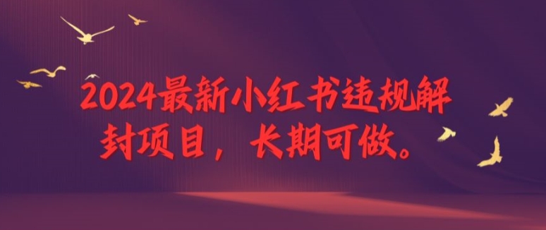 2024最新小红书违规解封项目，长期可做，一个可以做到退休的项目【揭秘】-成长印记