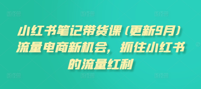 小红书笔记带货课(更新9月)流量电商新机会，抓住小红书的流量红利-成长印记