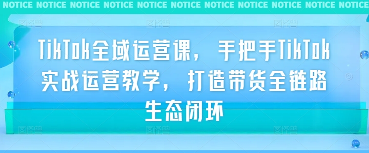 TikTok全域运营课，手把手TikTok实战运营教学，打造带货全链路生态闭环-成长印记