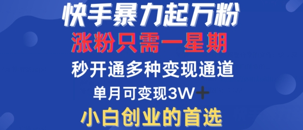 快手暴力起万粉，涨粉只需一星期，多种变现模式，直接秒开万合，单月变现过W【揭秘】-成长印记