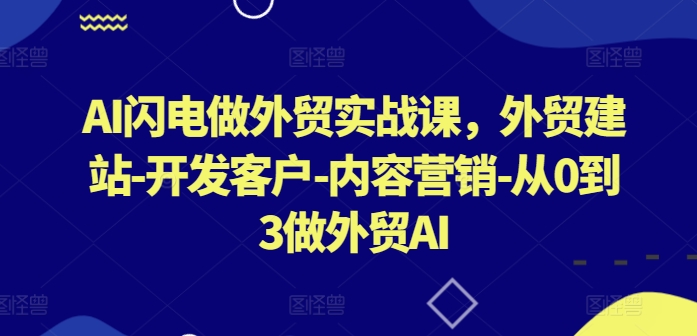 AI闪电做外贸实战课，​外贸建站-开发客户-内容营销-从0到3做外贸AI（更新）-成长印记