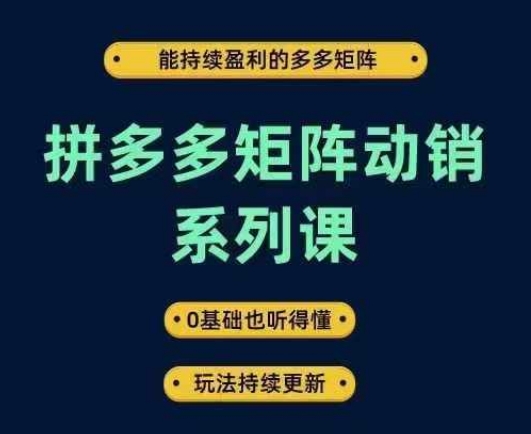 拼多多矩阵动销系列课，能持续盈利的多多矩阵，0基础也听得懂，玩法持续更新-成长印记