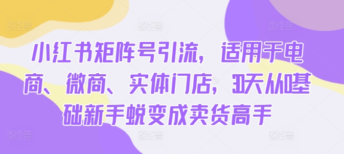 小红书矩阵号引流，适用于电商、微商、实体门店，30天从0基础新手蜕变成卖货高手-成长印记