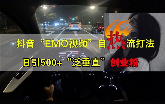 抖音EMO视频自热打法，日引500+“泛垂直”创业粉-成长印记