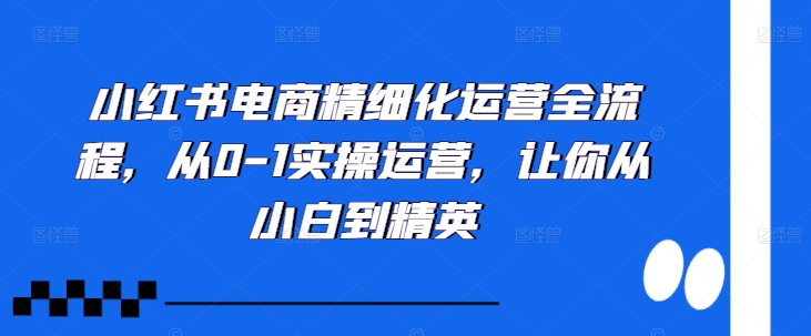 小红书电商精细化运营全流程，从0-1实操运营，让你从小白到精英-成长印记