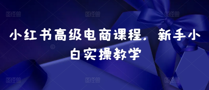 小红书高级电商课程，新手小白实操教学-成长印记