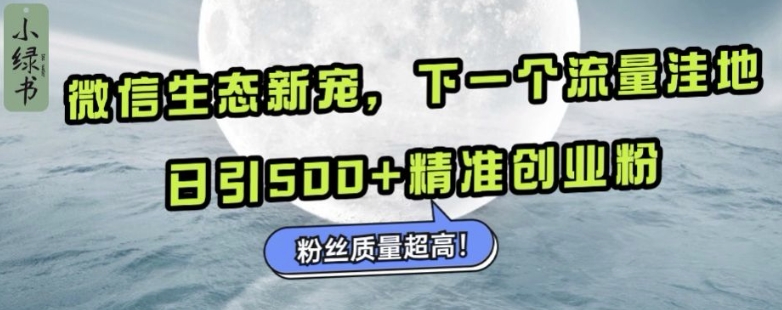 微信生态新宠小绿书：下一个流量洼地，日引500+精准创业粉，粉丝质量超高-成长印记