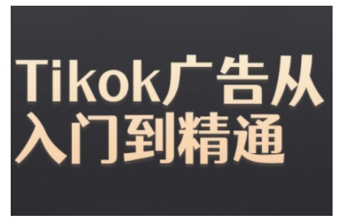 Tiktok Ads实操教程，Tiktok广告从入门到精通-成长印记