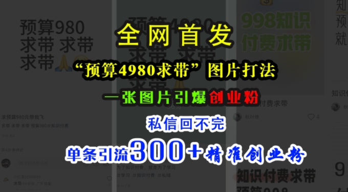 小红书“预算4980带我飞”图片打法，一张图片引爆创业粉，私信回不完，单条引流300+精准创业粉-成长印记