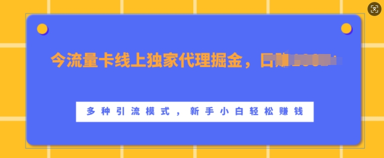 流量卡线上独家代理掘金，日入1k+ ，多种引流模式，新手小白轻松上手【揭秘】-成长印记