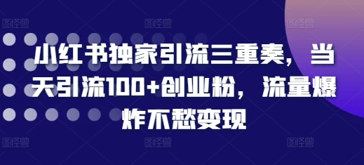 小红书独家引流三重奏，当天引流100+创业粉，流量爆炸不愁变现【揭秘】-成长印记