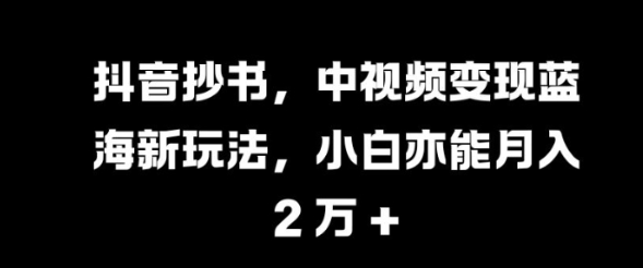 抖音抄书，中视频变现蓝海新玩法，小白亦能月入 过W【揭秘】-成长印记