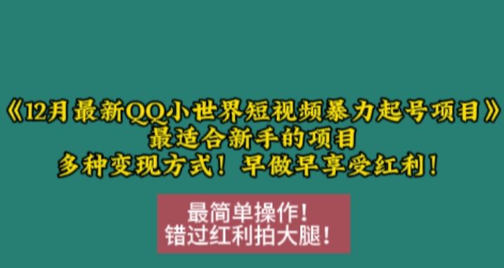 12月最新QQ小世界短视频暴力起号项目，最适合新手的项目，多种变现方式-成长印记