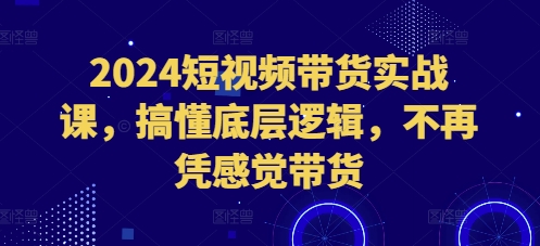 2024短视频带货实战课，搞懂底层逻辑，不再凭感觉带货-成长印记