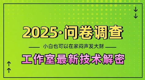 2025问卷调查最新工作室技术解密：一个人在家也可以闷声发大财，小白一天2张，可矩阵放大【揭秘】-成长印记