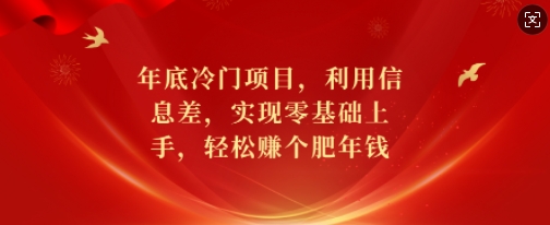 年底冷门项目，利用信息差，实现零基础上手，轻松赚个肥年钱【揭秘】-成长印记