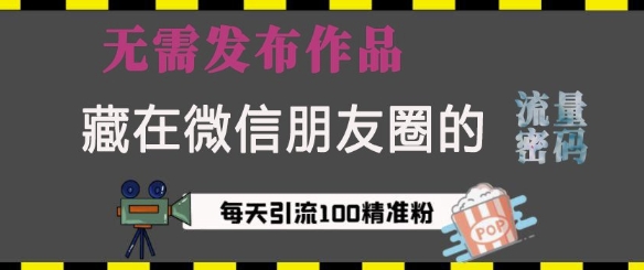 藏在微信朋友圈的流量密码，无需发布作品，单日引流100+精准创业粉【揭秘】-成长印记