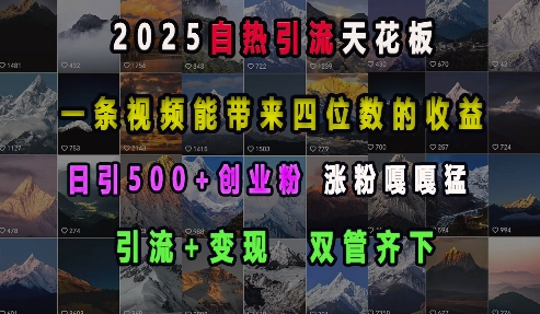 2025自热引流天花板，一条视频能带来四位数的收益，引流+变现双管齐下，日引500+创业粉，涨粉嘎嘎猛-成长印记