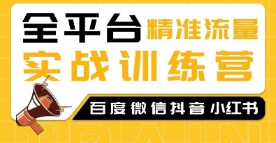 全平台精准流量实战训练营，百度微信抖音小红书SEO引流教程-成长印记